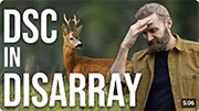 BASC Move Creates Split in DSC1 Training