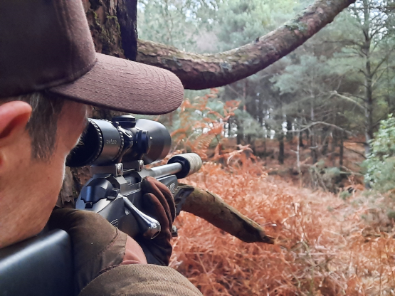 Deer Hunting UK