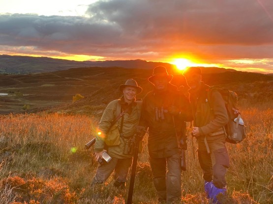 Red Stag Stalking Scottish Highlands 