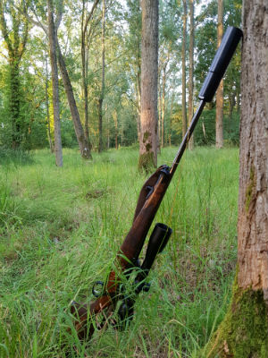 Sauer Rifle .243