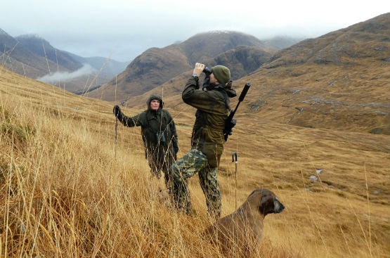 West Highland Deer Hunting 555