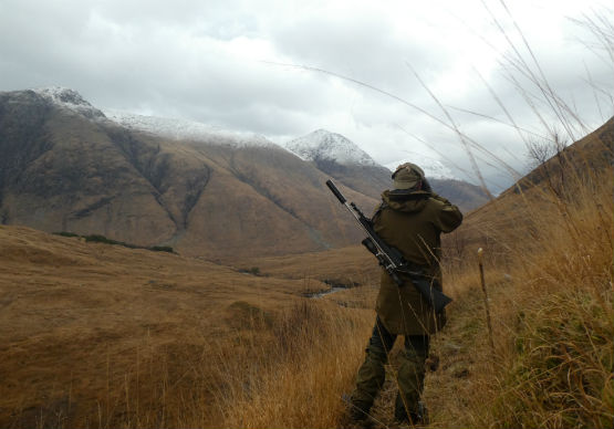 West Highland Stalking 1 555