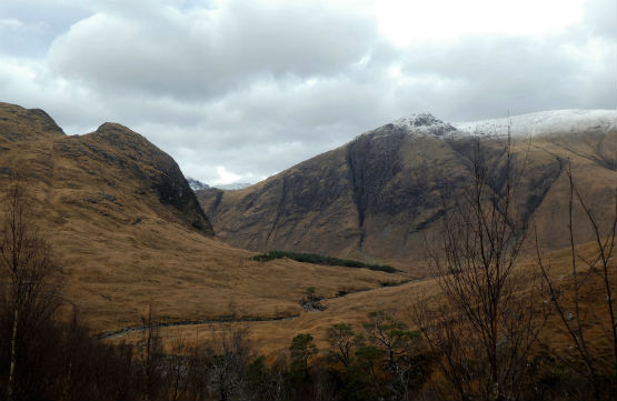 West Highland Stalking 4 555