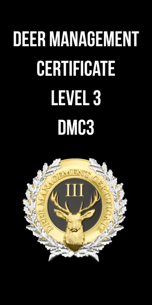 vertical dmc3